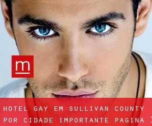 Hotel Gay em Sullivan County por cidade importante - página 1