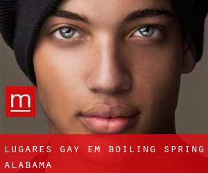 Lugares Gay em Boiling Spring (Alabama)