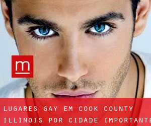 lugares gay em Cook County Illinois por cidade importante - página 2