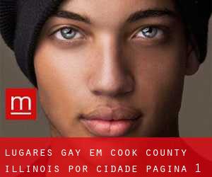 lugares gay em Cook County Illinois por cidade - página 1