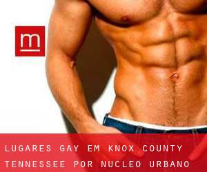 lugares gay em Knox County Tennessee por núcleo urbano - página 2