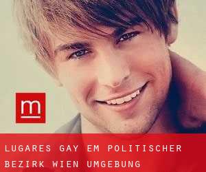 Lugares Gay em Politischer Bezirk Wien Umgebung