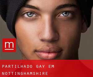 Partilhado Gay em Nottinghamshire