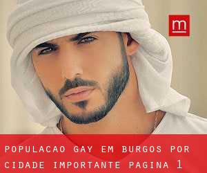 População Gay em Burgos por cidade importante - página 1