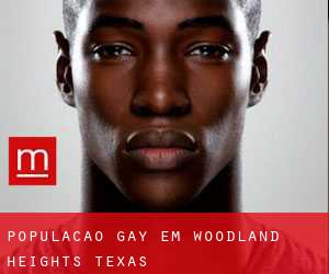 População Gay em Woodland Heights (Texas)