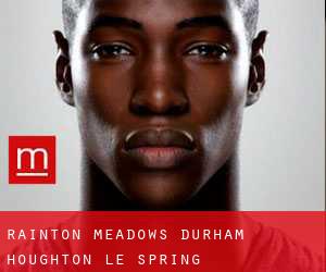 Rainton Meadows Durham (Houghton-le-Spring)