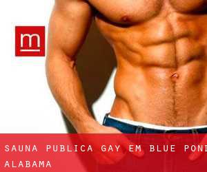 Sauna Pública Gay em Blue Pond (Alabama)