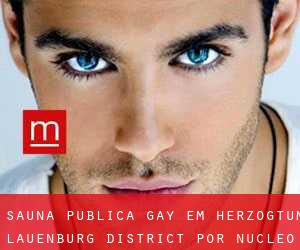 Sauna Pública Gay em Herzogtum Lauenburg District por núcleo urbano - página 1