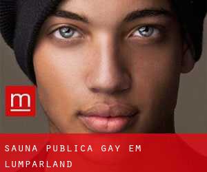 Sauna Pública Gay em Lumparland